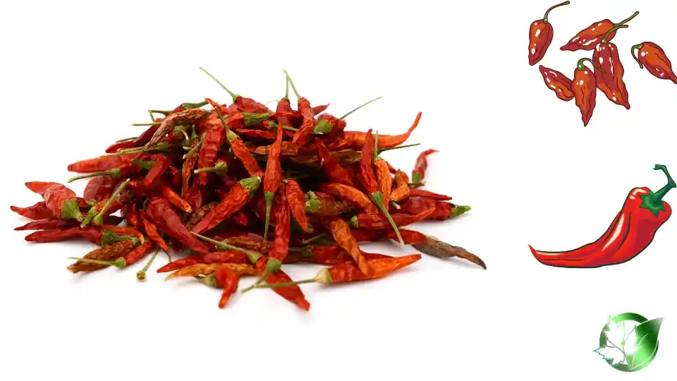 Vendor evaluation for Dried Red Chili Peppers should cover specification, packaging, supporting records, logistics, and full delivered cost.